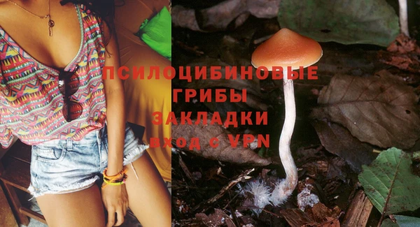 тгк Арсеньев