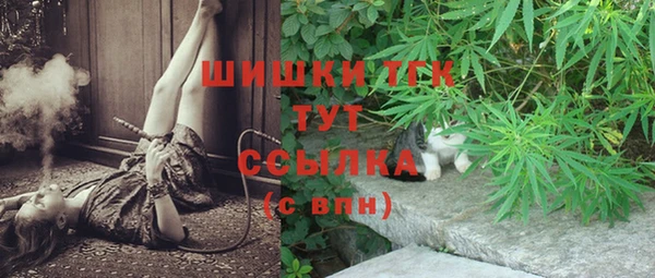тгк Арсеньев