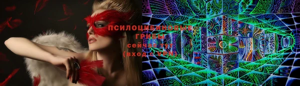 тгк Арсеньев