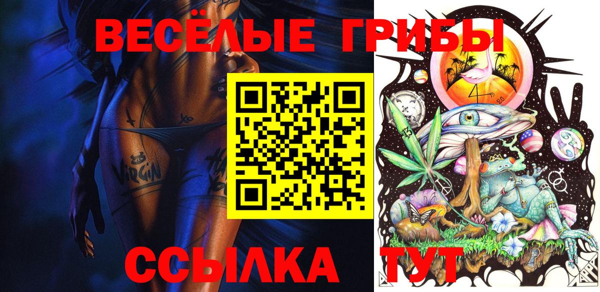 Псилоцибиновые грибы Psilocybine cubensis Мурманск