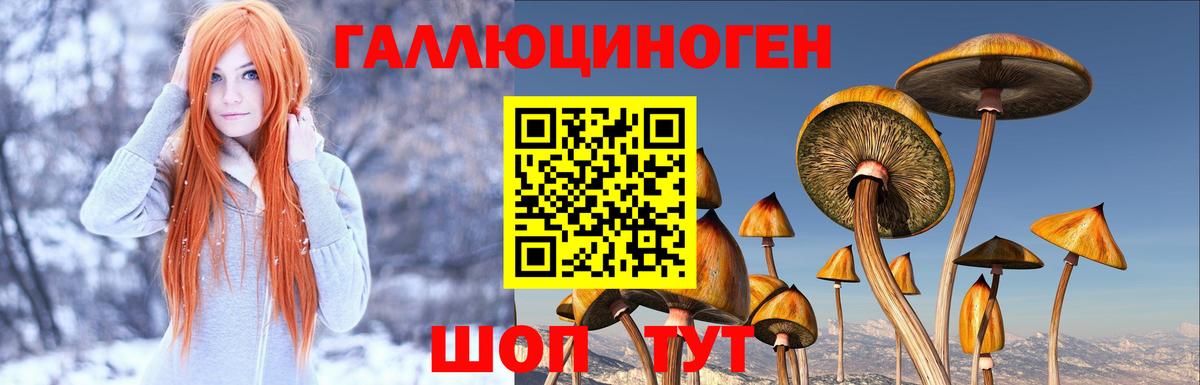 Галлюциногенные грибы ЛСД  Вход с VPN  Мурманск 